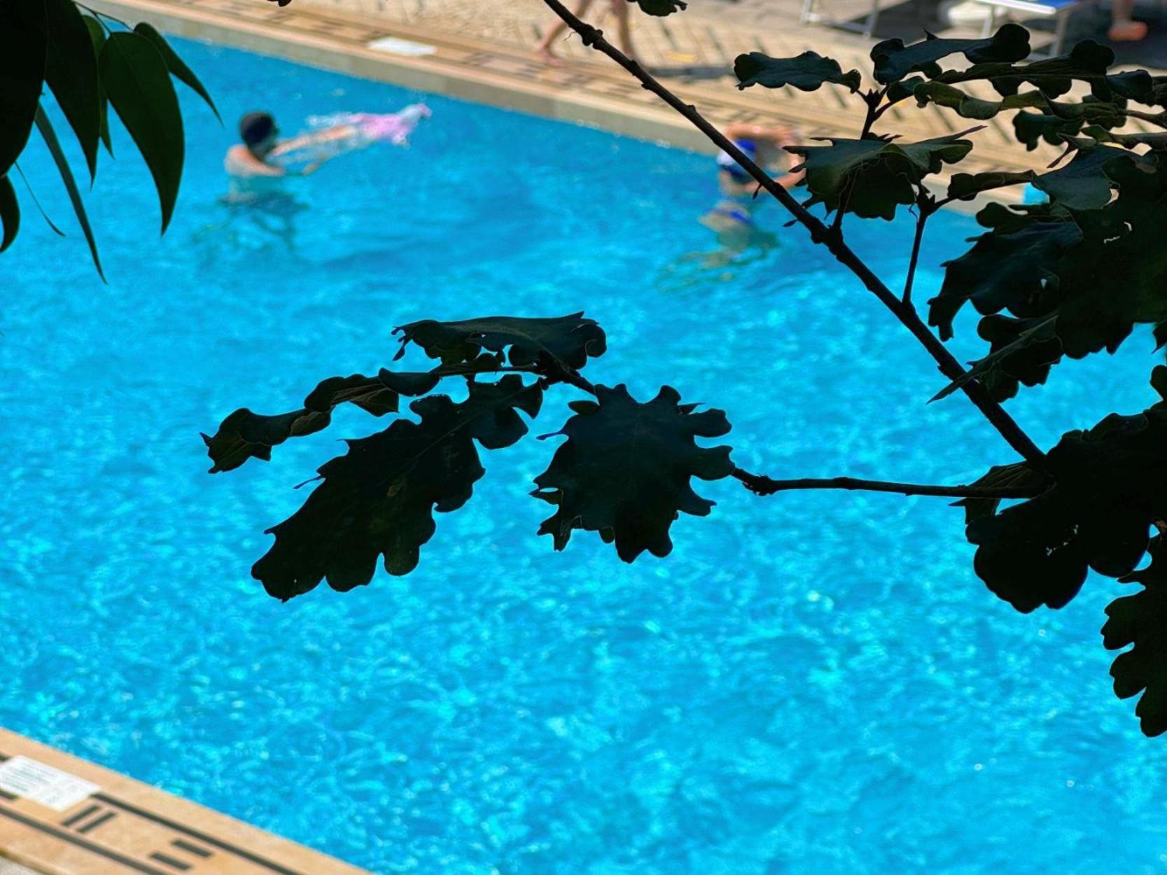 Village Camping Santa Fortunata - Campogaio Σορέντο Εξωτερικό φωτογραφία
